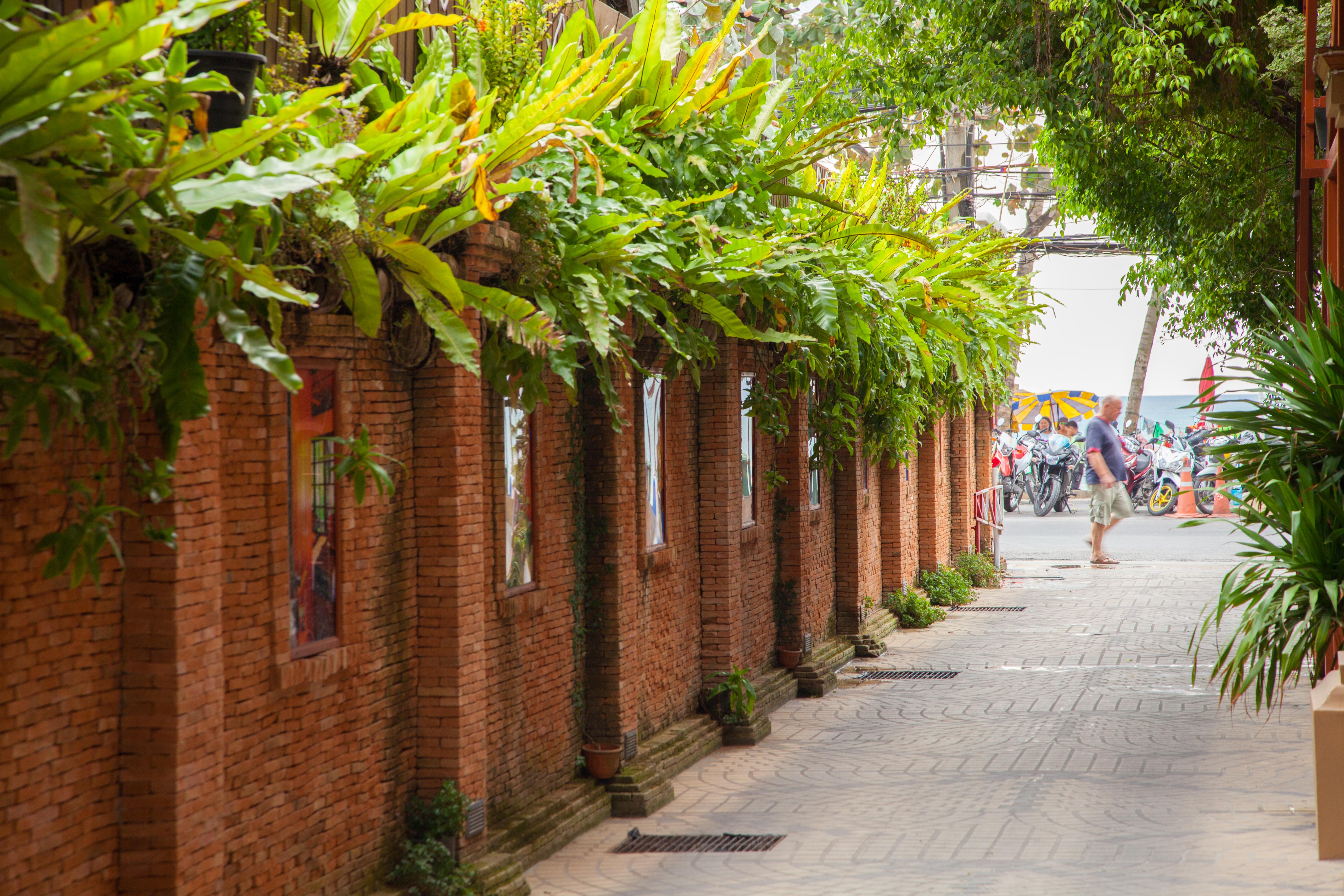 Tropica Bungalow Beach Hotel Patong Eksteriør billede